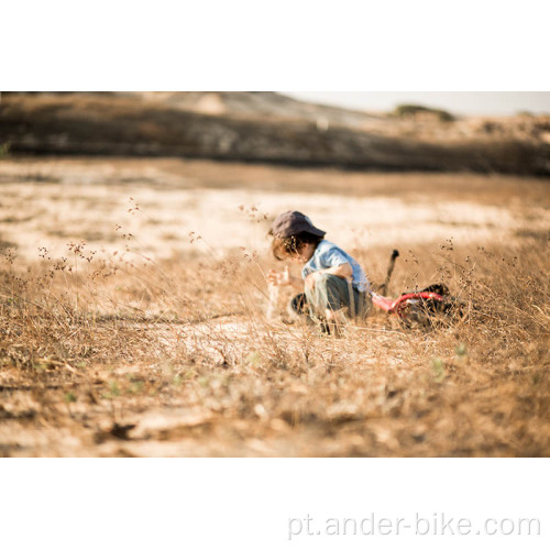 passeio de bicicleta de bebê em bicicleta infantil de aço de brinquedo